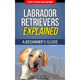 Labrador Retrievers Explained - A Beginners Guide